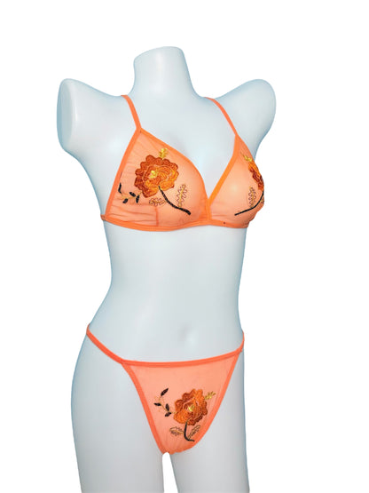 Net Lingerie Set