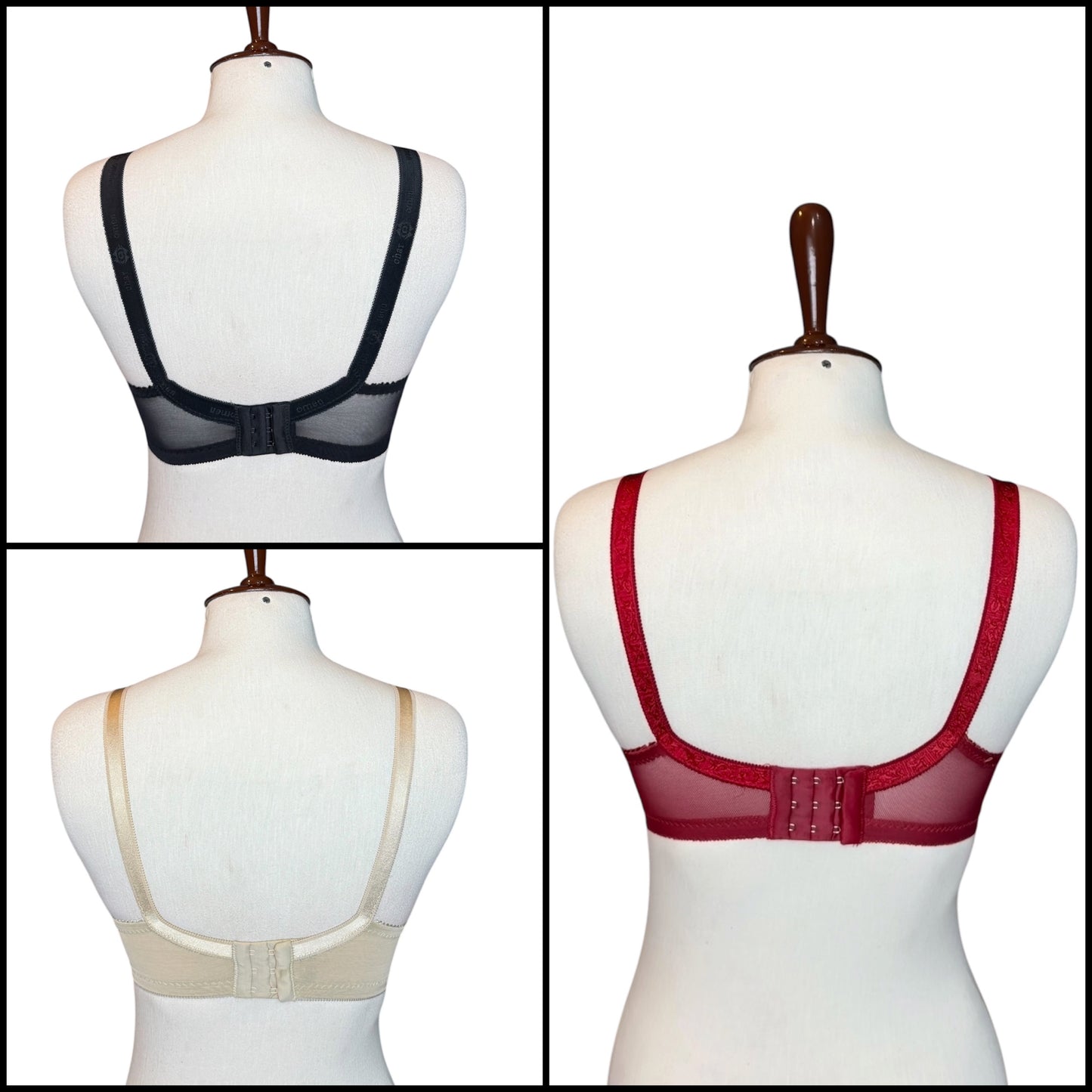 Pack Of 4 Lycra Net Bra - Beautiful Assorted Colors